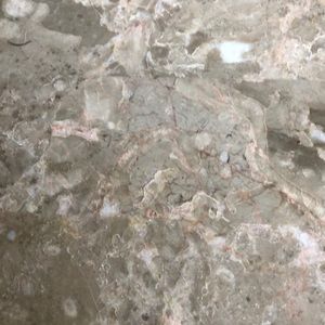 Meet your Posher, Edward